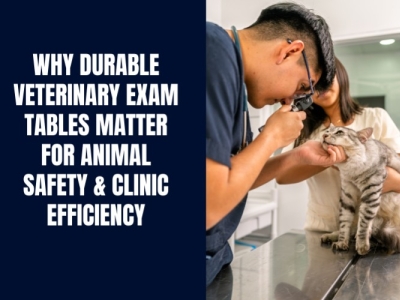 Why Durable Veterinary Exam Tables Matter for Animal Safety & Clinic Efficiency